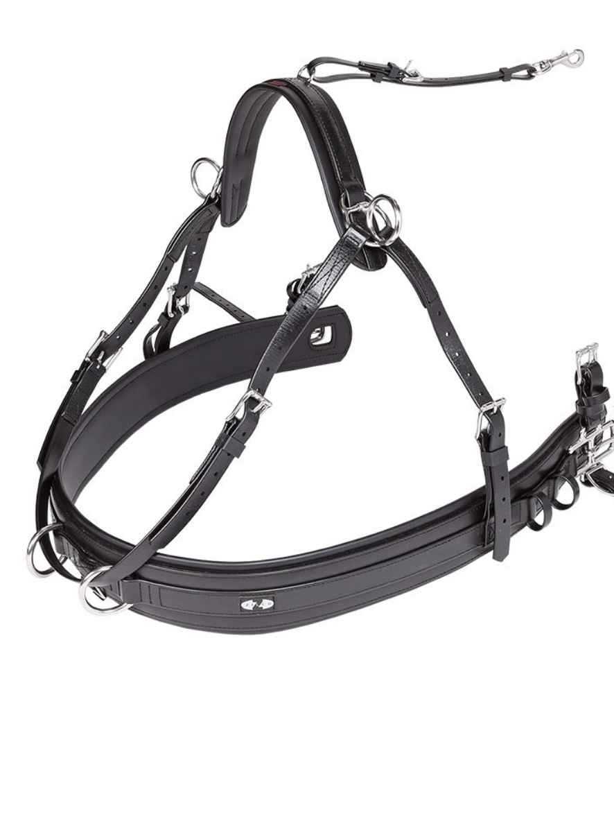 ZILCO Brustblatt Zweispänner CLASSIC 