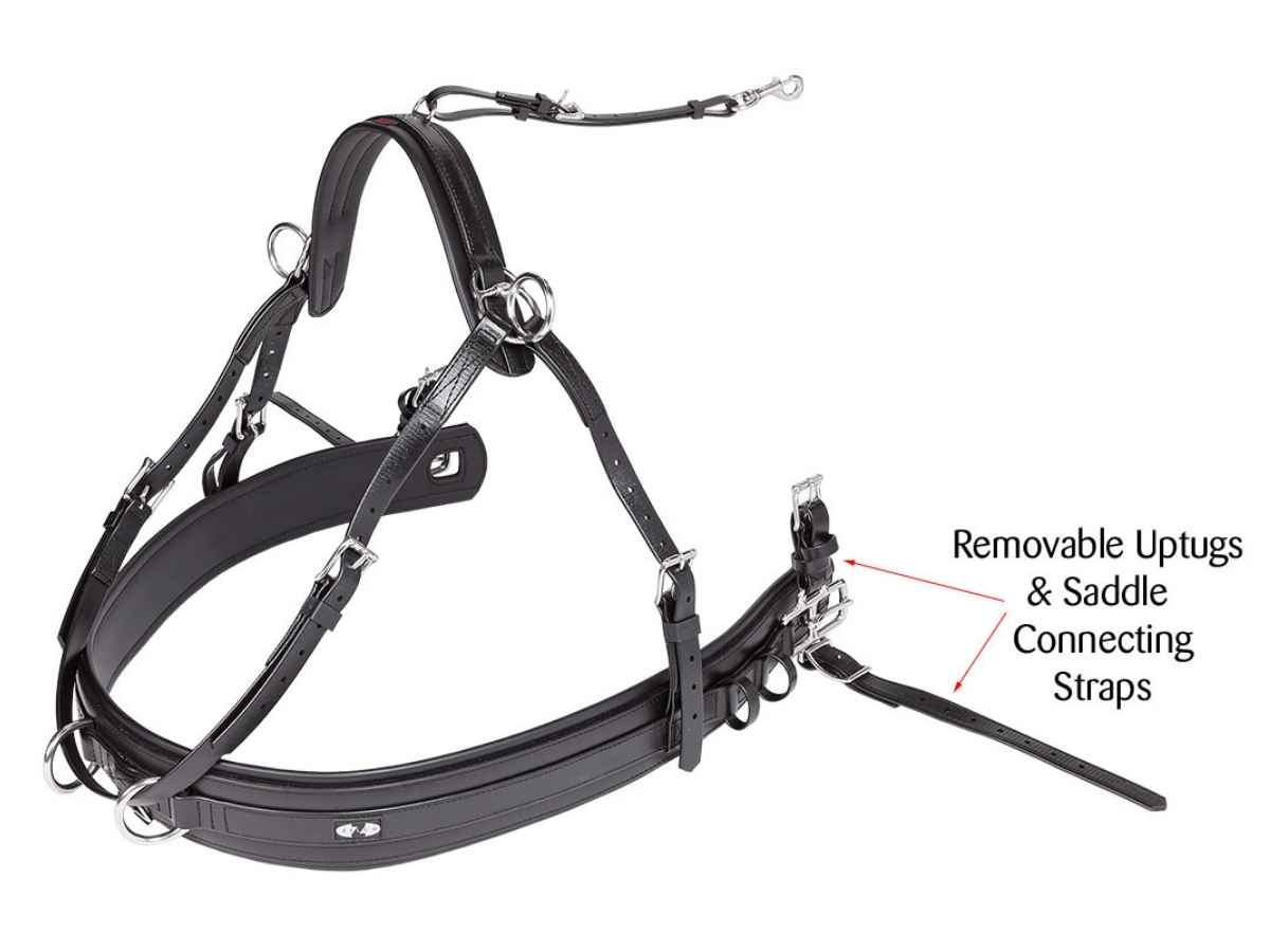 ZILCO Brustblatt Zweispänner CLASSIC 