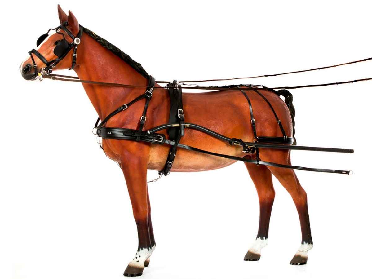 ZILCO Pferdegeschirr für Gig / Sulky CLASSIC