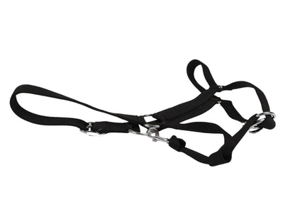 WEISSL Stallhalfter X-Treme