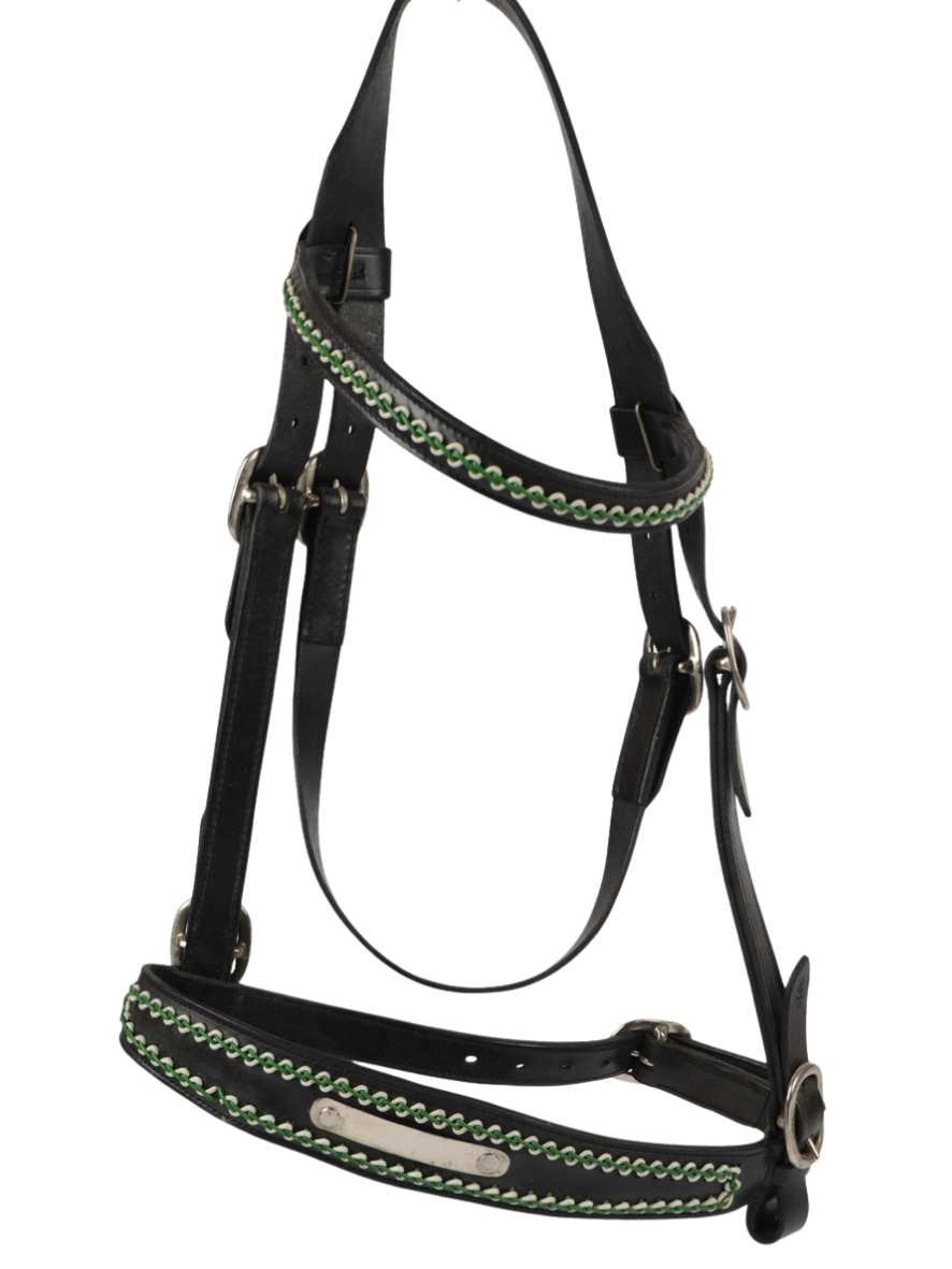 WEISSL Prunkhalfter, Trachtenhalfter