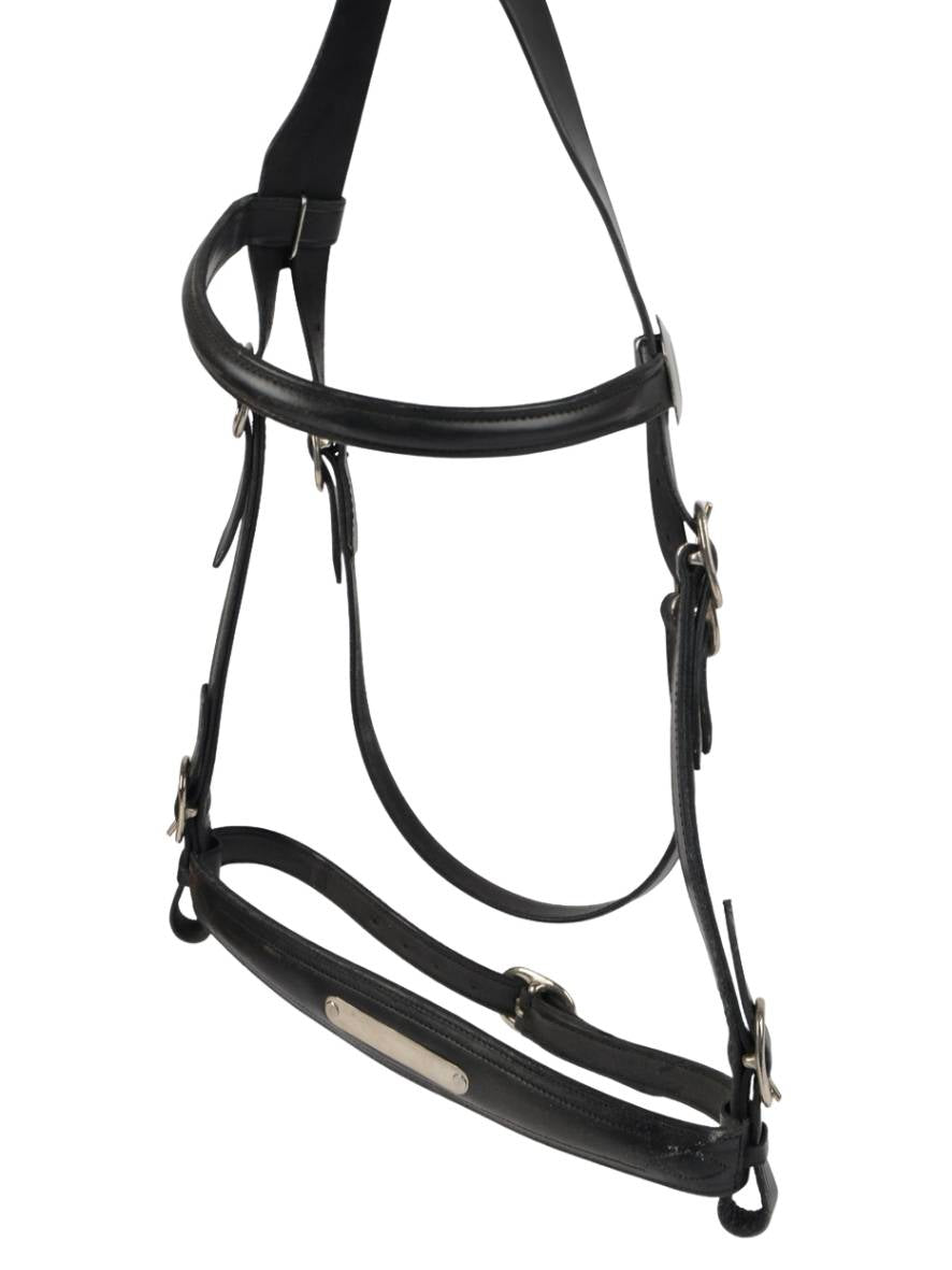 WEISSL Prunkhalfter, Trachtenhalfter