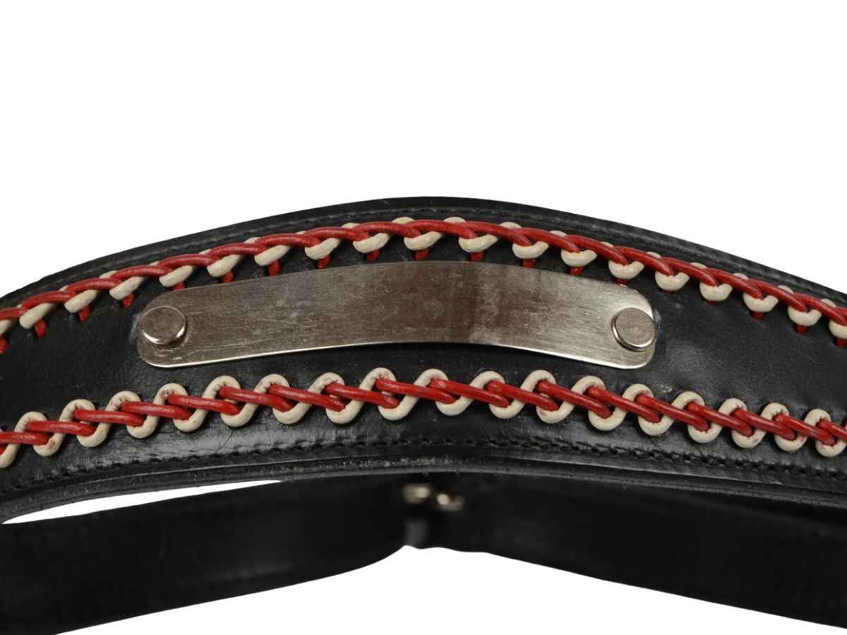 WEISSL Prunkhalfter, Trachtenhalfter