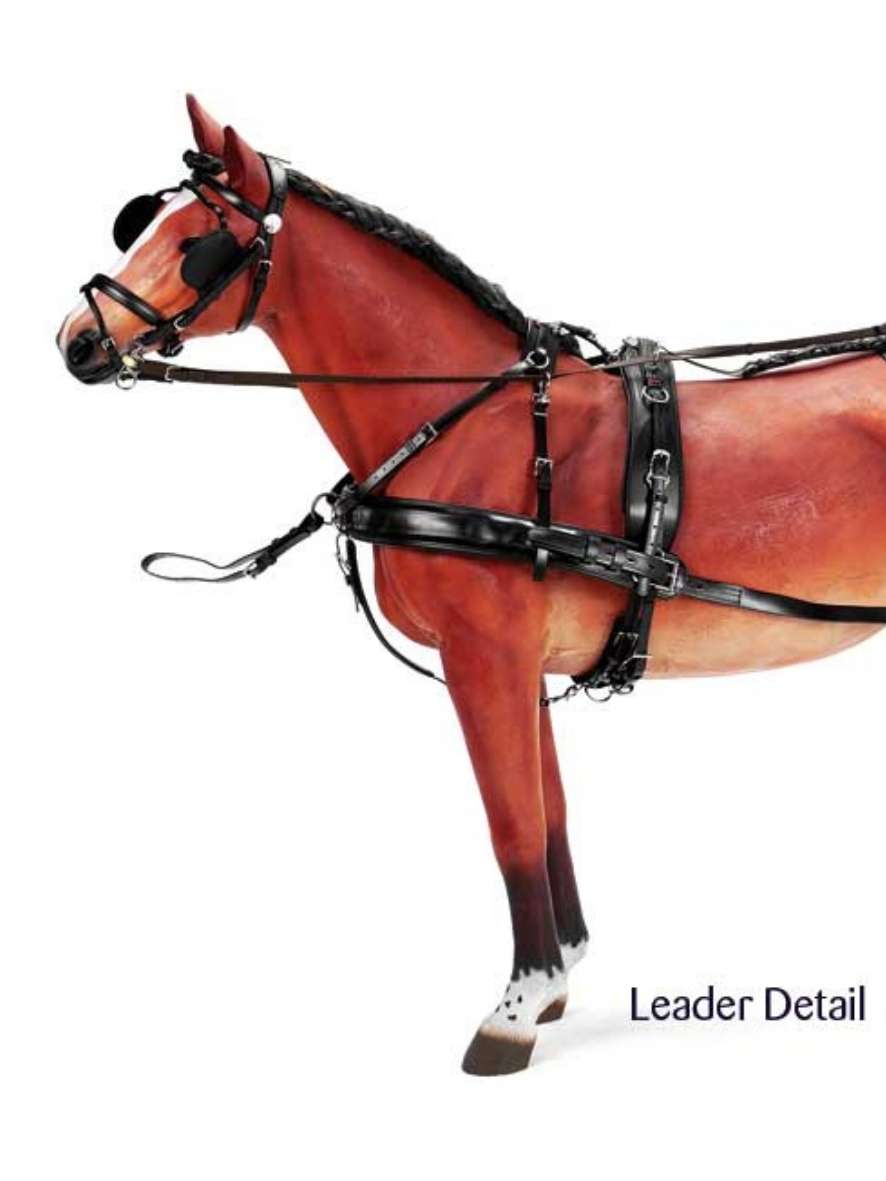 ZILCO Pferdegeschirr Brustblatt Vierspänner ELITE