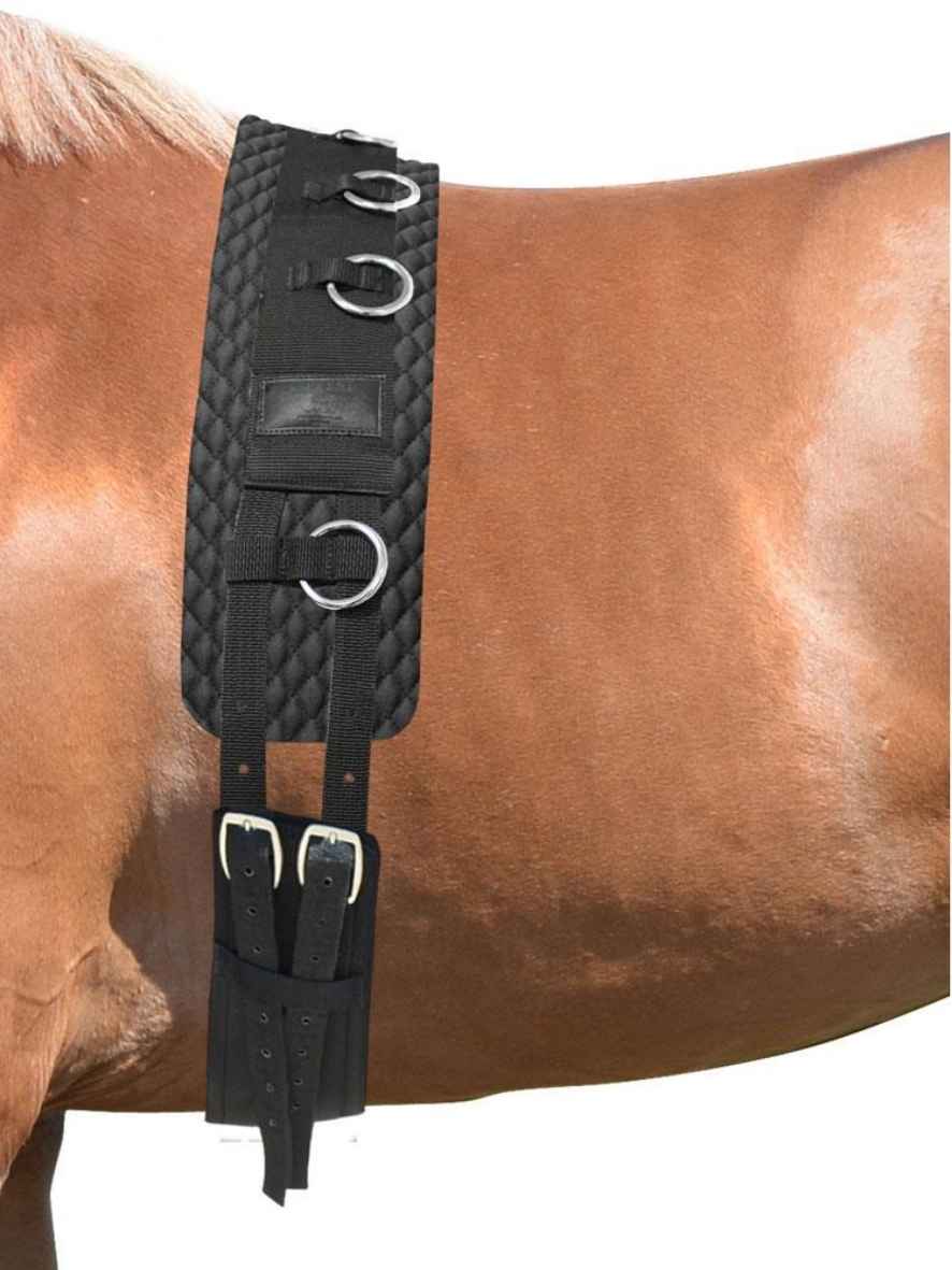 EQuest Longiergurt Classic