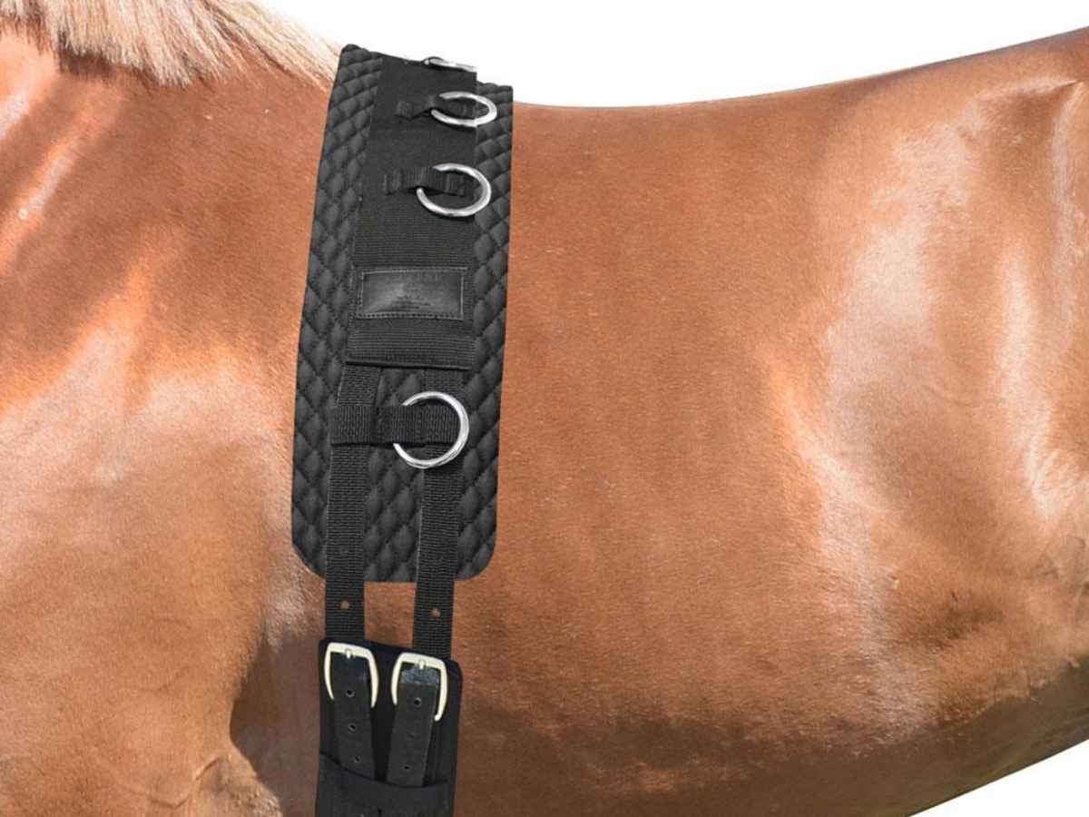 EQuest Longiergurt Classic