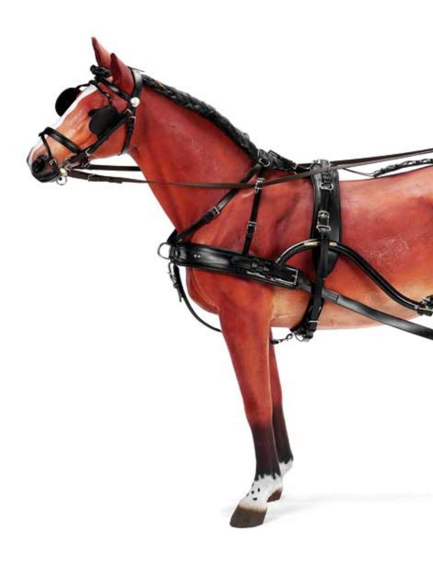 ZILCO Pferdegeschirr Einspänner ELITE / ZGB