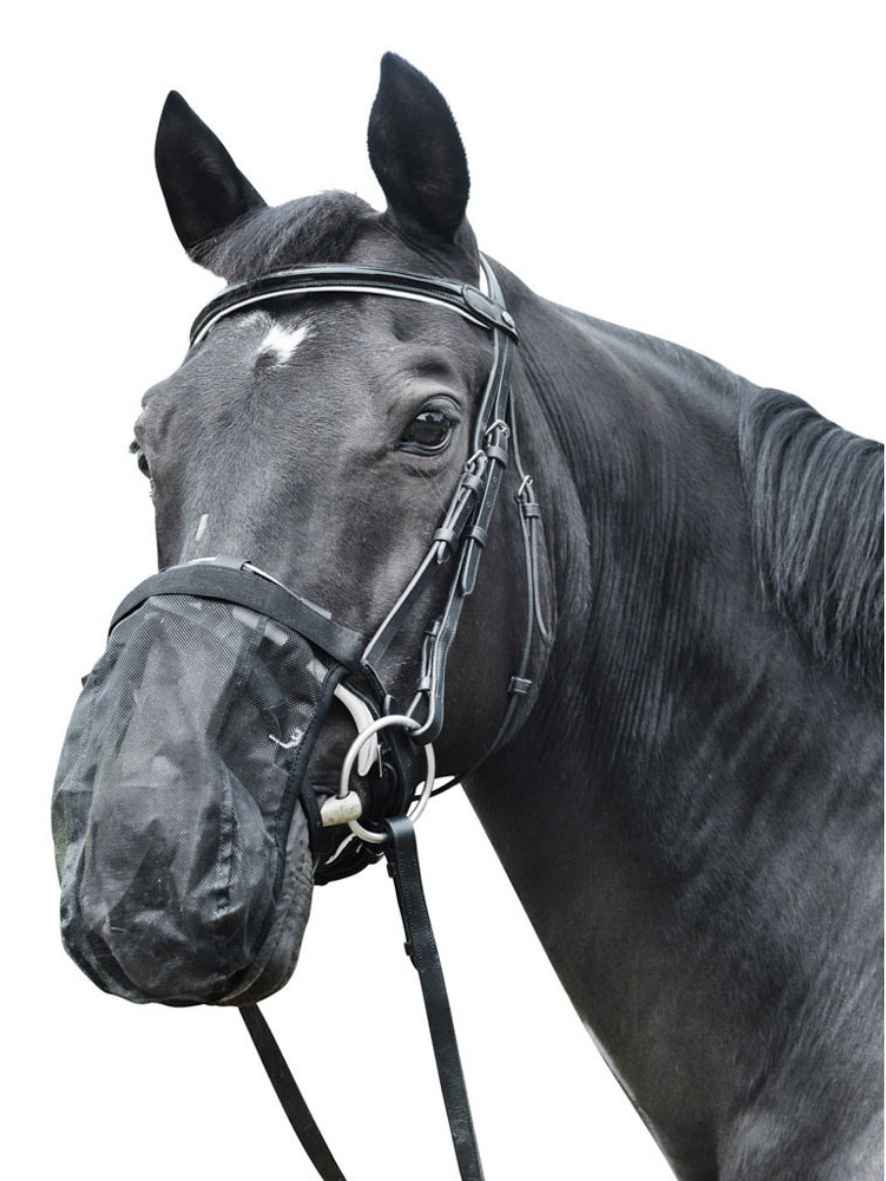 EQuest Fliegenschutz Headshaking