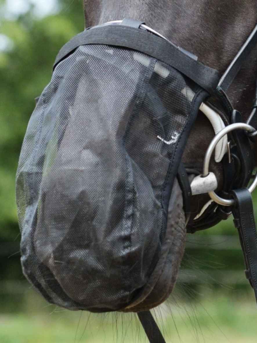 EQuest Fliegenschutz Headshaking