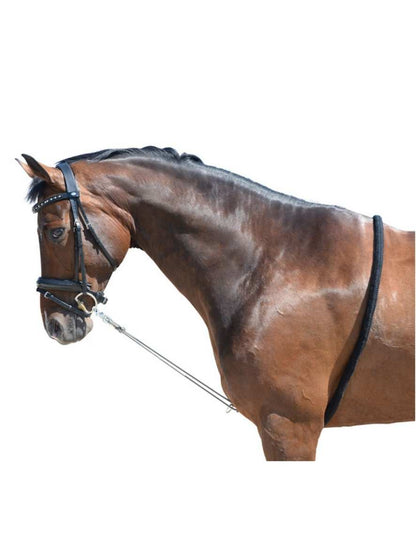 EQuest Softtouch Longierhilfe 2 Ringe