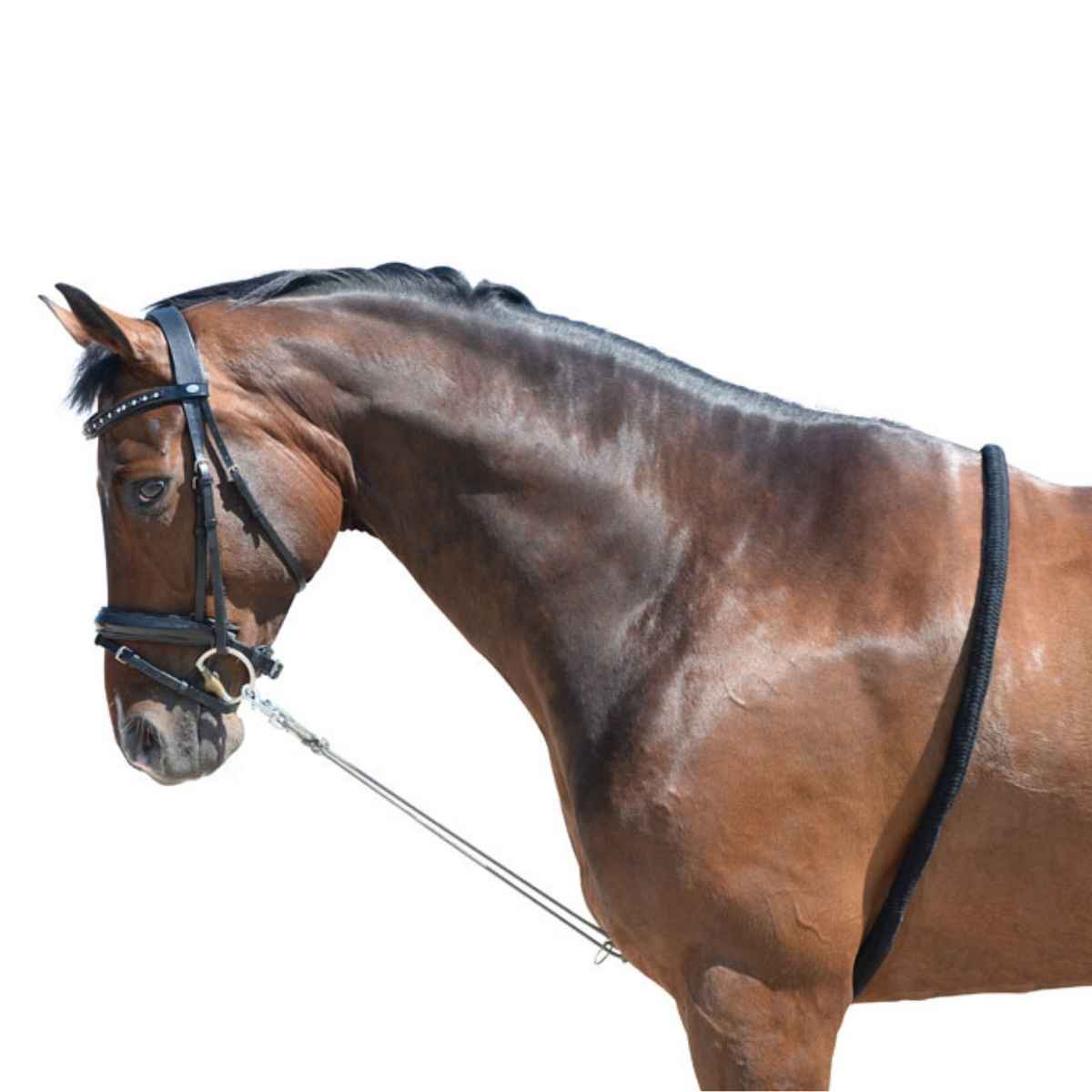 EQuest Softtouch Longierhilfe 2 Ringe