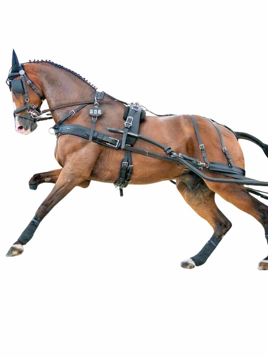 ZILCO Pferdegeschirr Brustblatt Einspänner ELITE