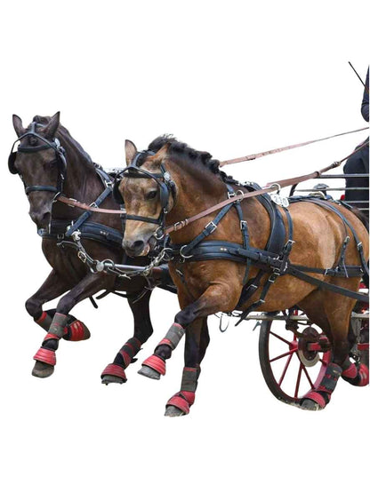 ZILCO Pferdegeschirr Brustblatt Zweispänner CLASSIC 