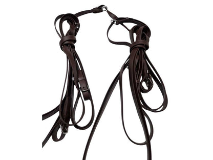 Arden Fahrleine Biothane Vierspänner Komplettset