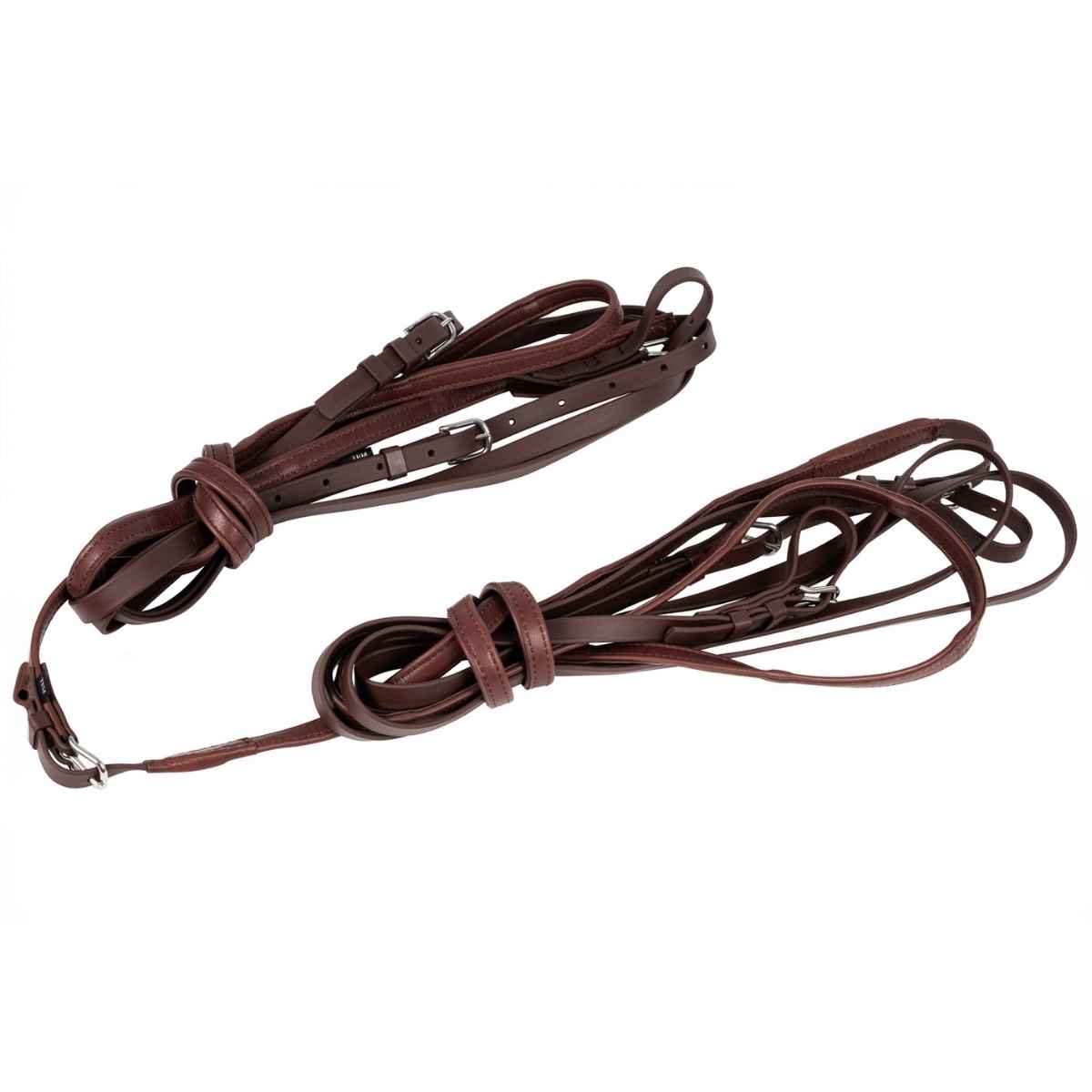 ARDEN Fahrleine Biothane Vierspänner Komplettset mit Softleder Handstück 