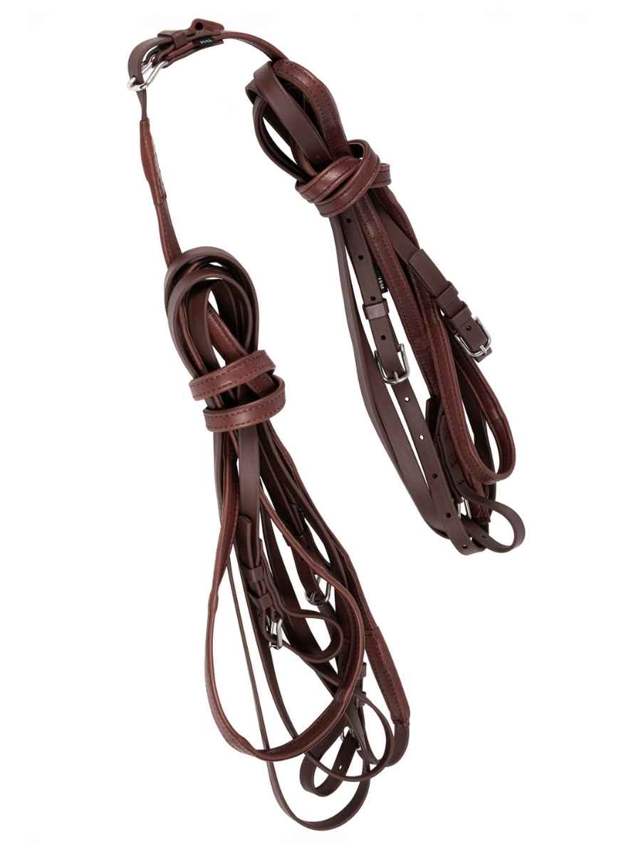 ARDEN Fahrleine Biothane Zweispänner mit Softleder Handstück