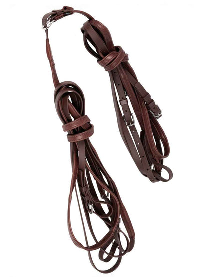 ARDEN Fahrleine Biothane Zweispänner mit Softleder Handstück