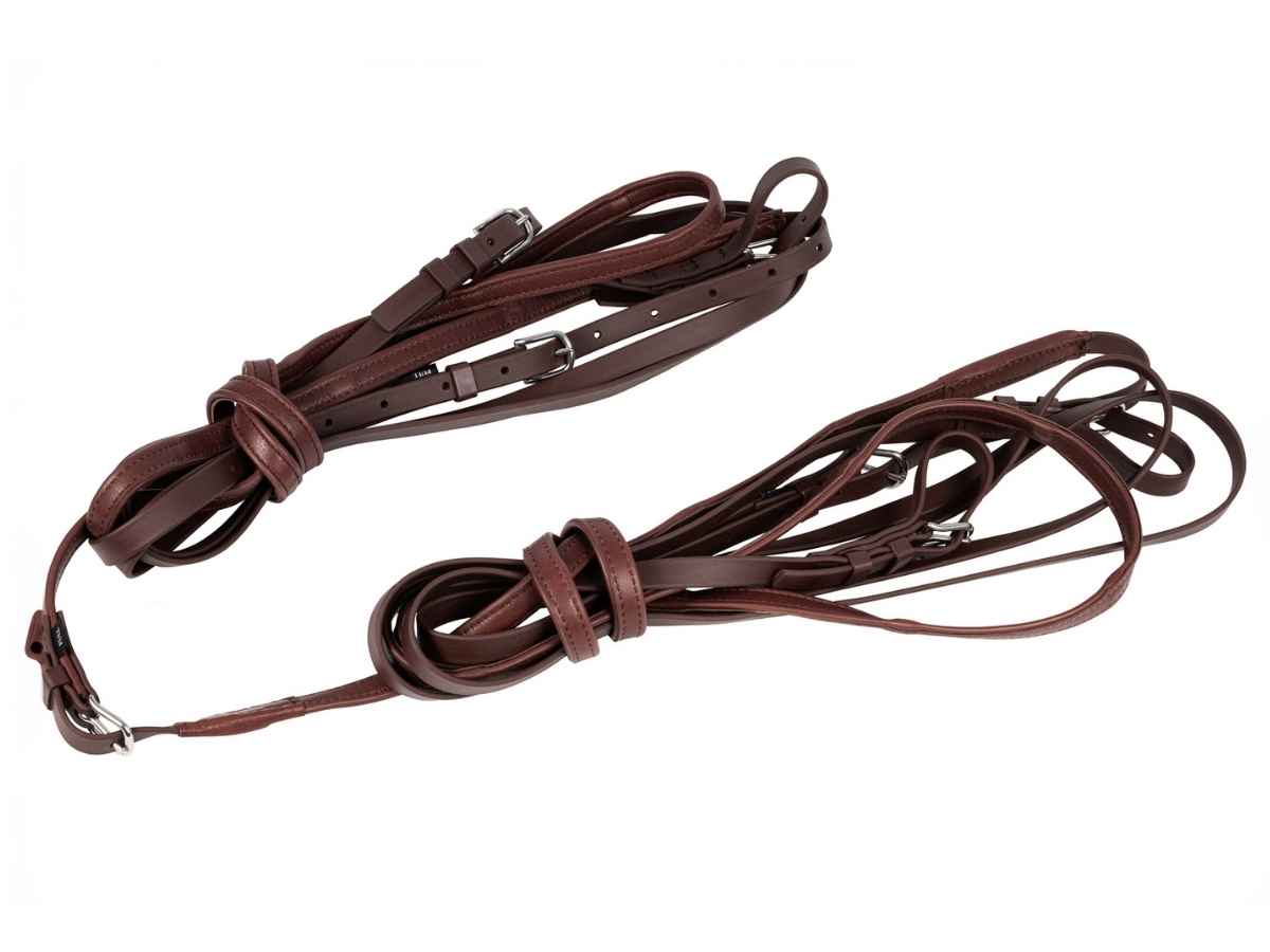 ARDEN Fahrleine Biothane Zweispänner mit Softleder Handstück