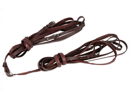 ARDEN Fahrleine Biothane Zweispänner mit Softleder Handstück