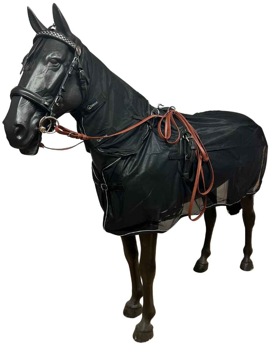 WEISSL Fliegendecke Fahren Reflection