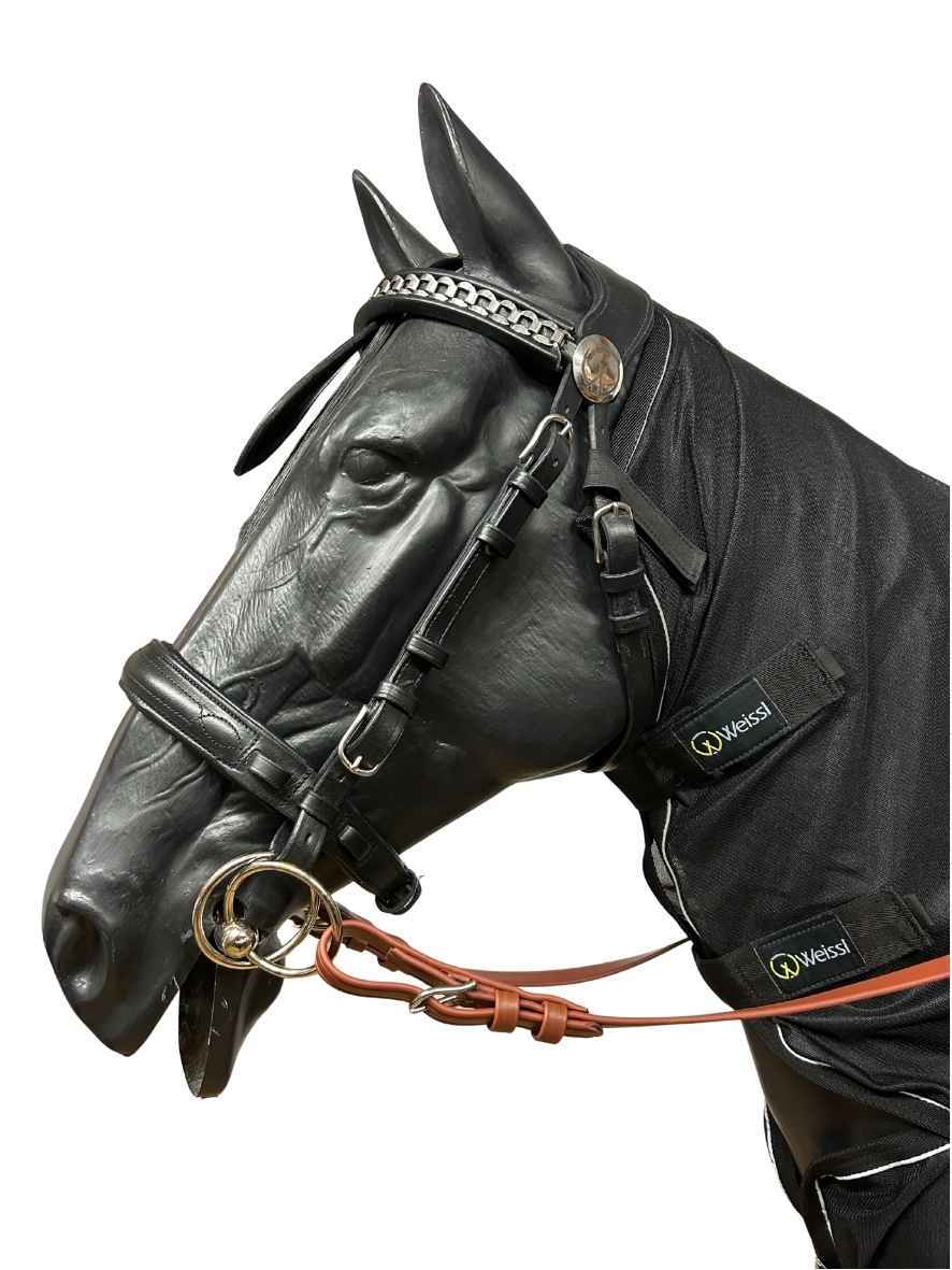 WEISSL Fliegendecke Fahren Reflection