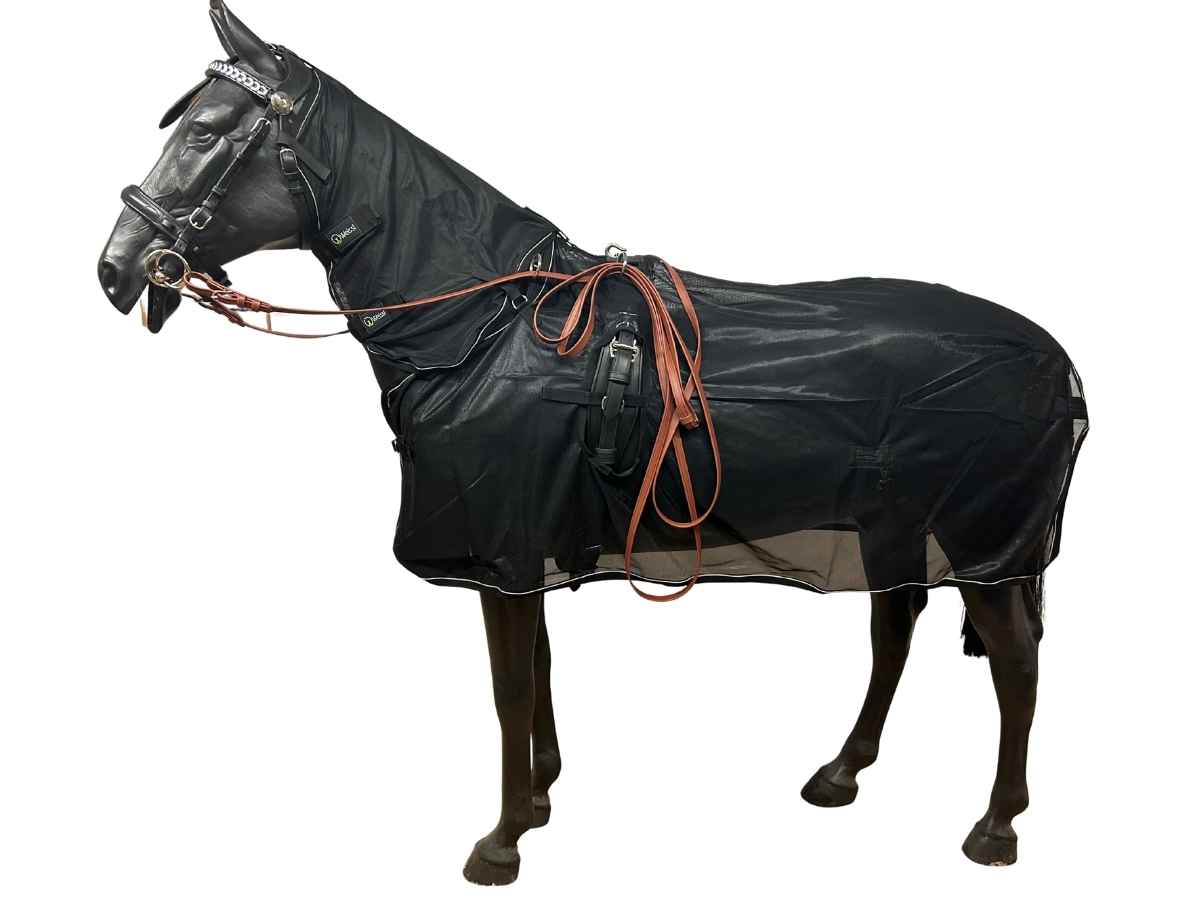 WEISSL Fliegendecke Fahren Reflection