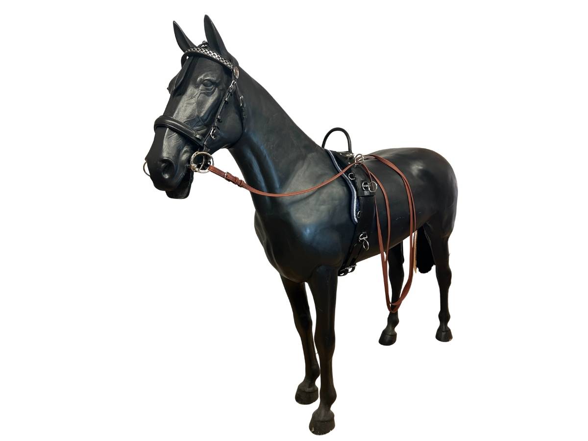 WEISSL Longiergurt Leder mit Bügel 