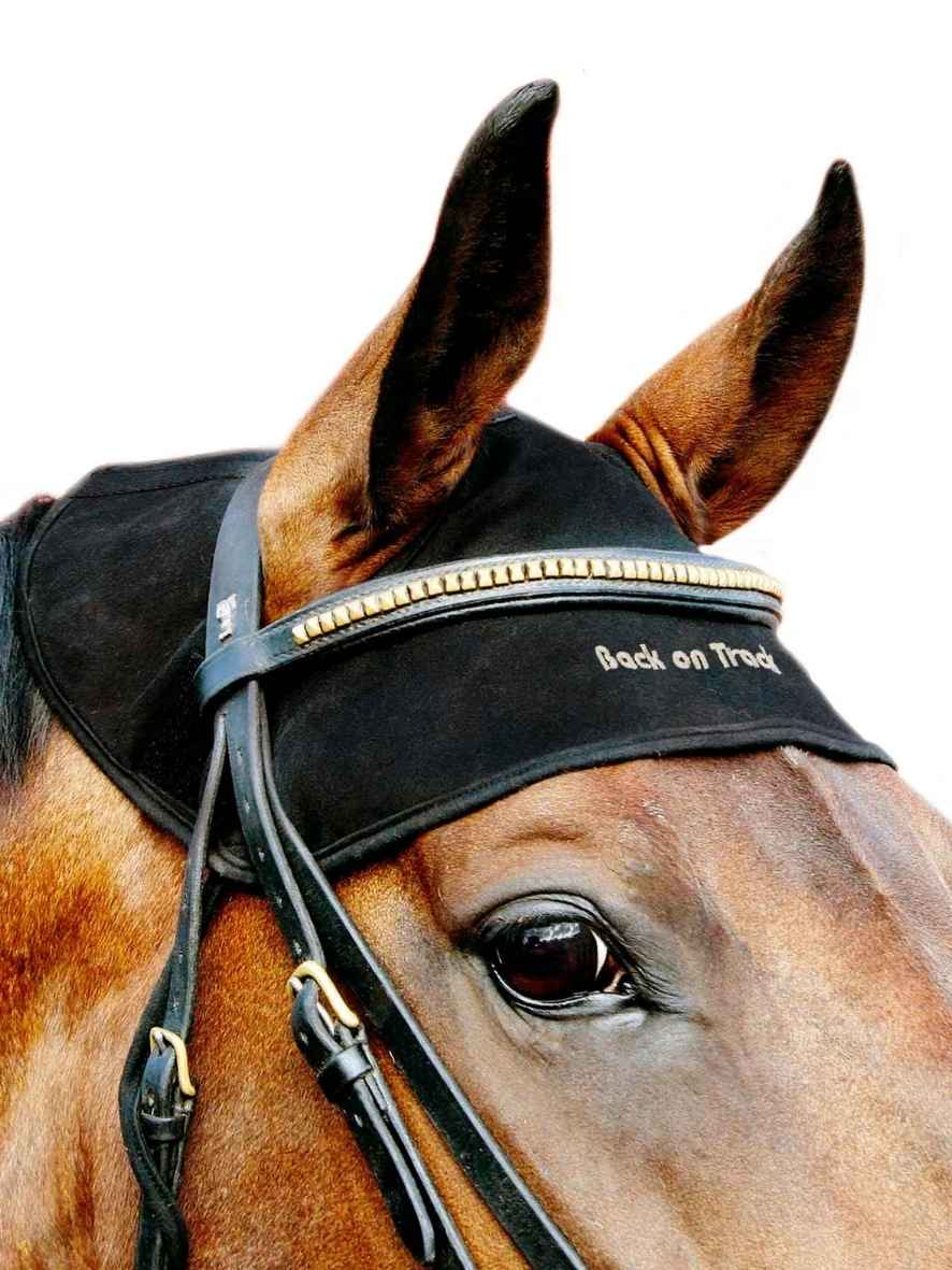 BACK ON TRACK Genickschoner für Pferde
