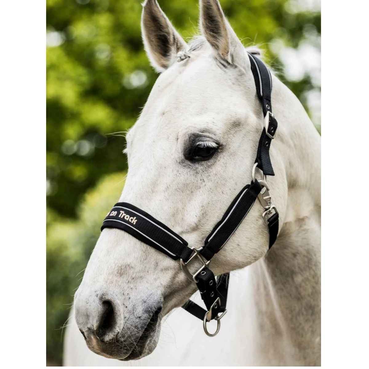 BACK ON TRACK Halfter Werano mit Reflektorstreifen