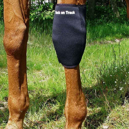 BACK ON TRACK Karpalgelenkschoner LINKS