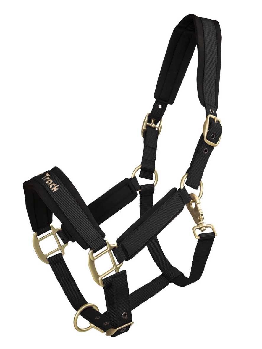 BACK ON TRACK Halfter Werano, schwarz, COB 