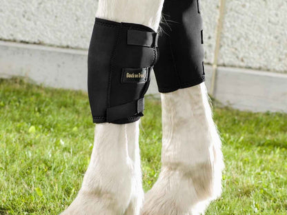 BACK ON TRACK Karpalgelenkschoner RECHTS