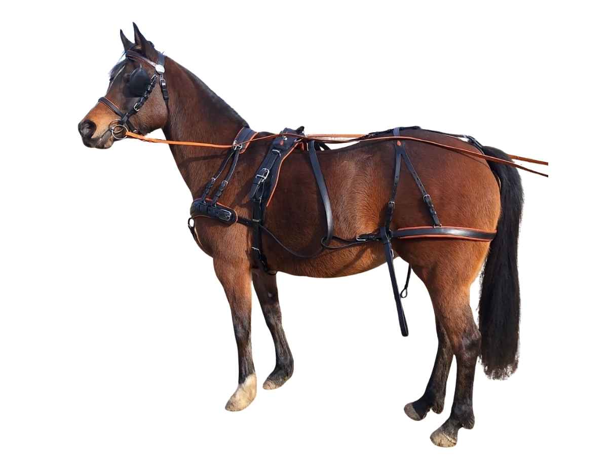 Arden Pferdegeschirr Leder Super LUX Einspänner Brustblatt anatomisch