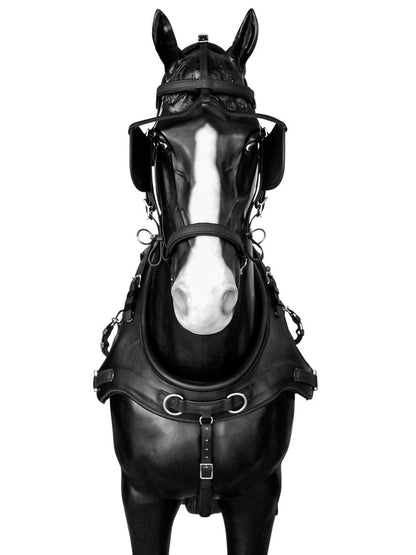 Arden Pferdegeschirr Biothane LUX Zweispänner Marathonkummet mit Strangträger