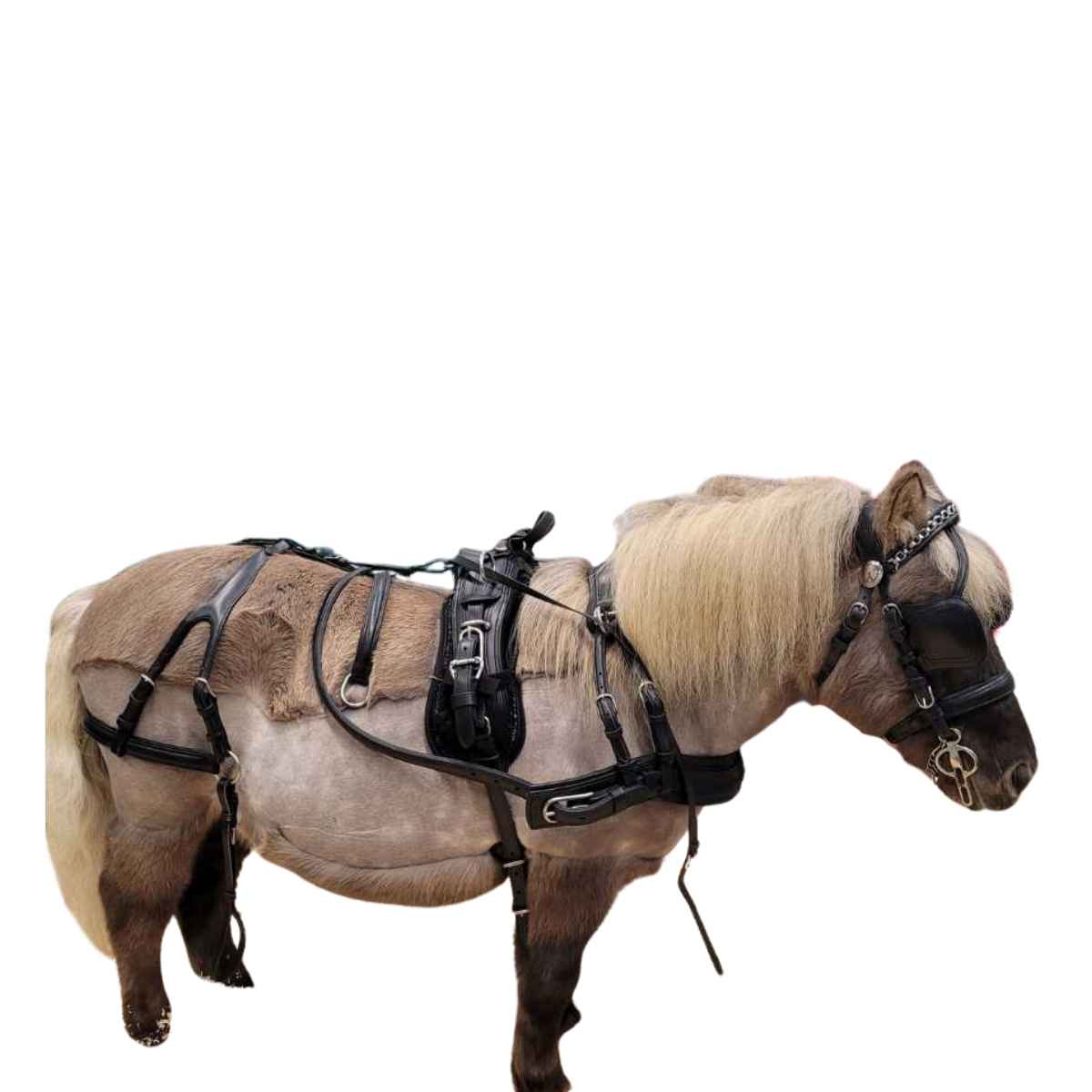 WEISSL Mini Shetty Geschirr Brustblatt Einspänner CLASSIC