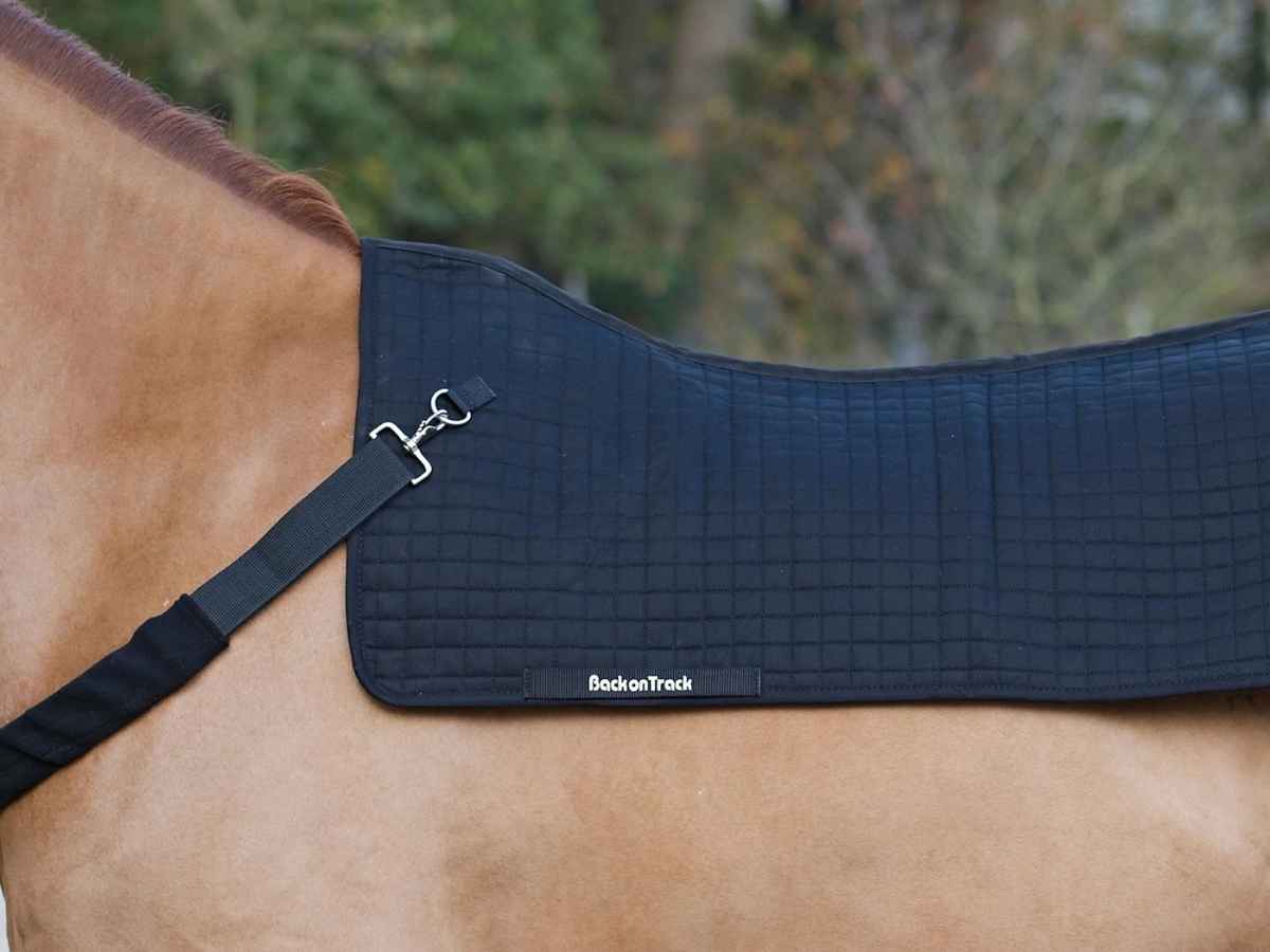 BACK ON TRACK Rückenwärmer Pferd Royal, schwarz, 80 cm x 105 cm 