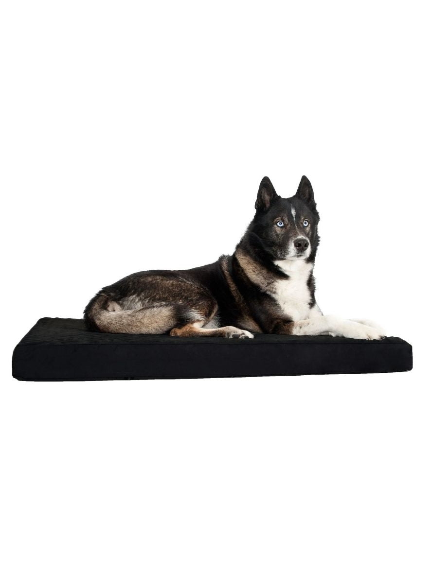BACK ON TRACK Hundematratze 