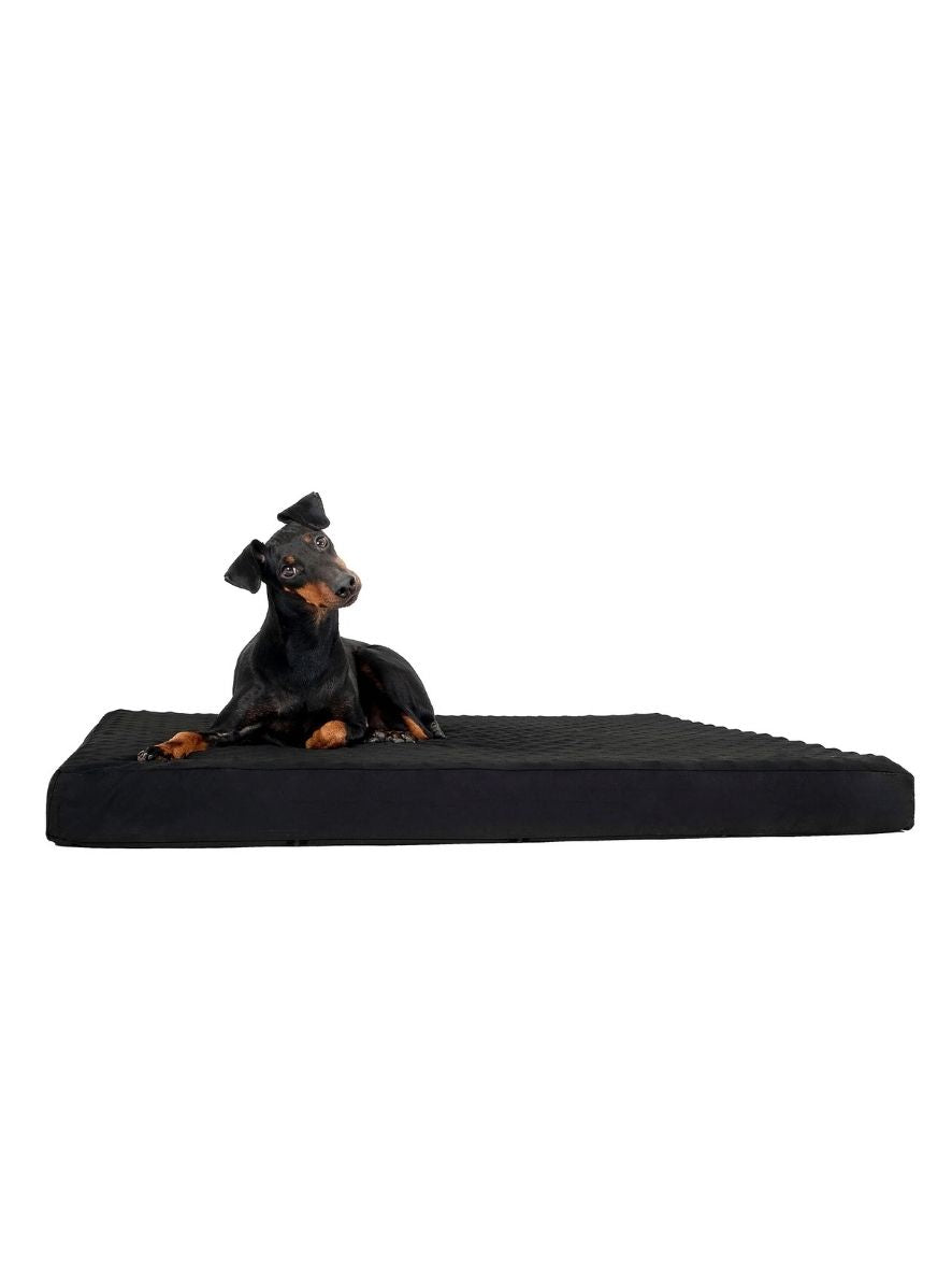 BACK ON TRACK Hundematratze 