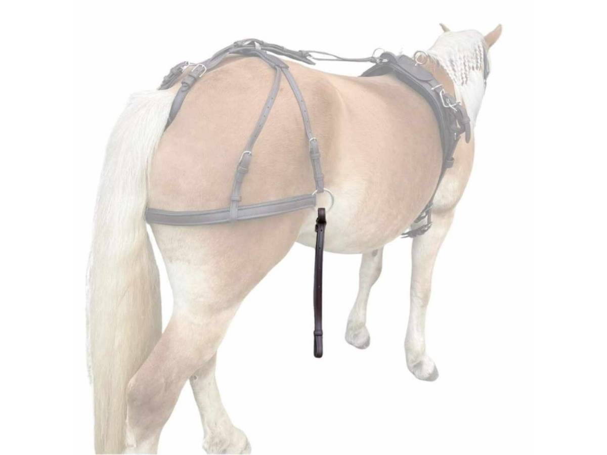 WEISSL Einschnallriemen (Rückhalteriemen, Gabelriemen, Scherrriemen) Einspänner TechComfort (Paar)