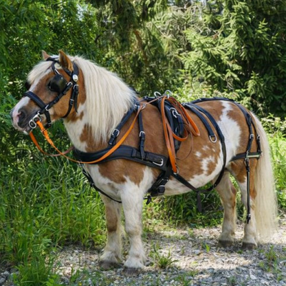 WEISSL Pferdegeschirr Brustblatt Einspänner CLASSIC