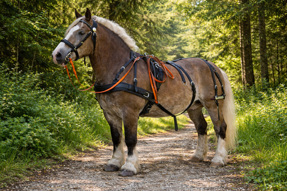 WEISSL Pferdegeschirr Brustblatt Einspänner CLASSIC