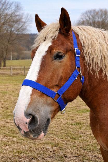 WEISSL Kaltbluthalfter X-Treme, extra stark