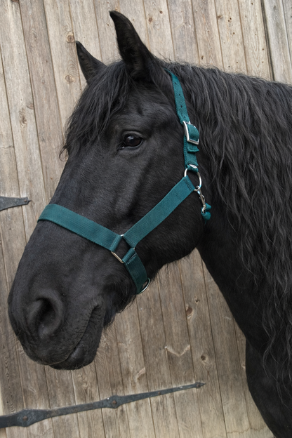 WEISSL Kaltbluthalfter X-Treme, extra stark