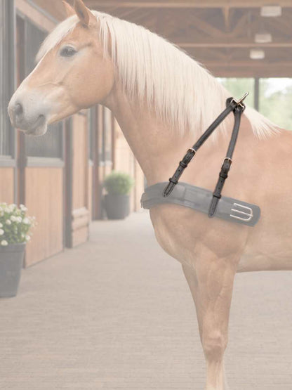 WEISSL Borsttuigdrager Enkel Paard Classic