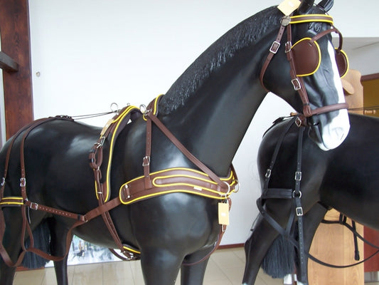 Arden Marathon Biothane borsttuig enkel paard recht (enkeldelig) zwart met gekleurde bies