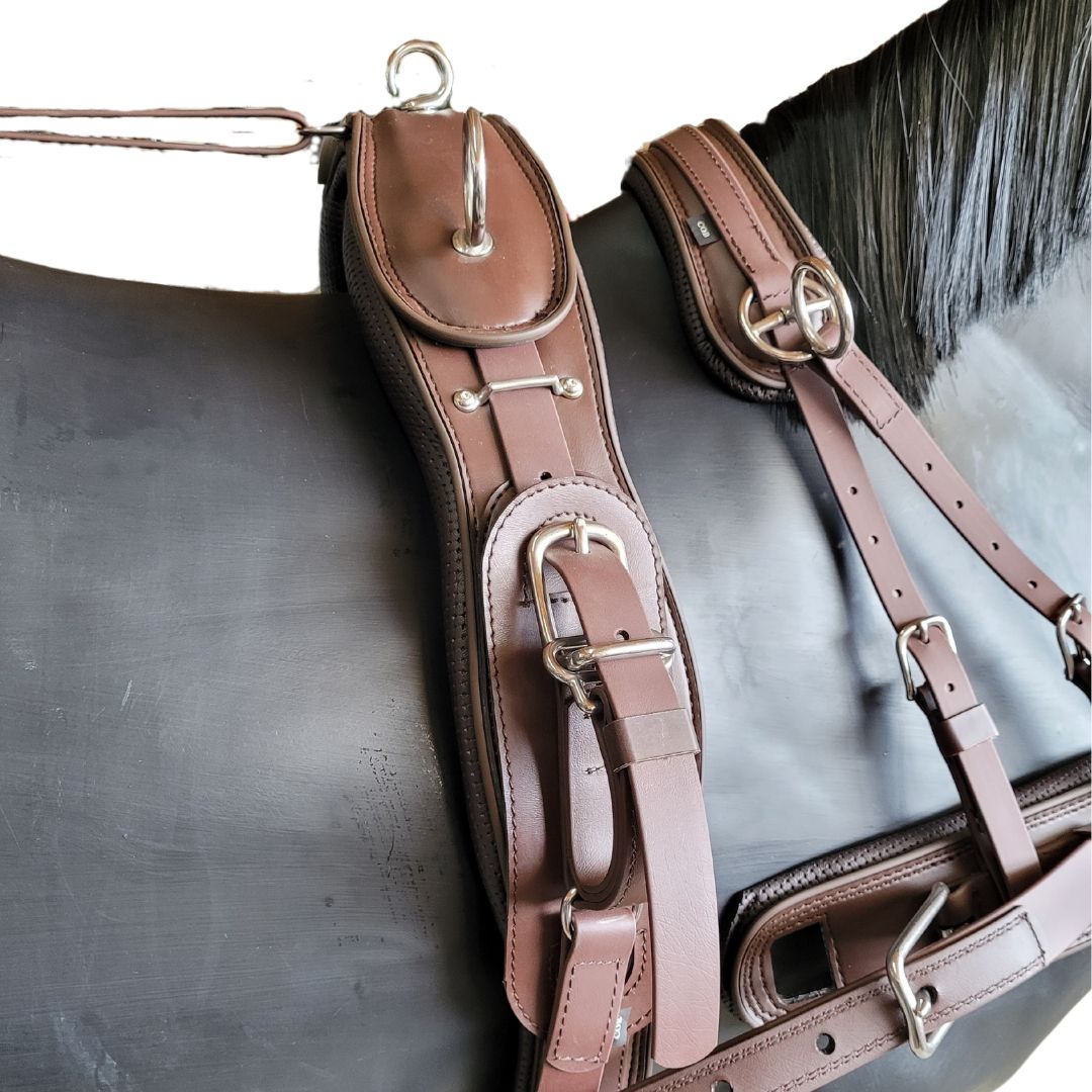 Arden Lux 1 Sp. Sellete